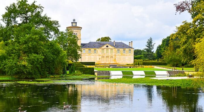 Adventures: A Bike Trip in Bordeaux bike tour in bordeaux