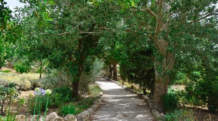 Escapes to the Sicilian Countryside at Susafa