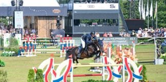 I Attended My First Equestrian Event, This Was My Experience at Brussels Stephex Masters Brussels Stephex