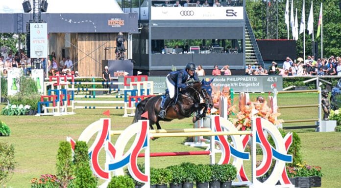 I Attended My First Equestrian Event, This Was My Experience at Brussels Stephex Masters Brussels Stephex