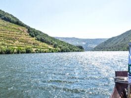 No trip to Portugal is complete without a stop in Porto and the Douro Valley Porto and Douro Valley